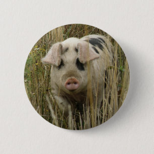 Badge Rond 5 Cm Bouton Cute Pig