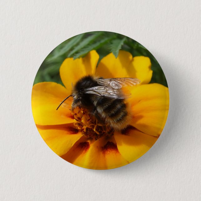 Badge Rond 5 Cm Bouton d'abeille (Devant)