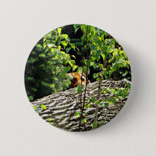 Badge Rond 5 Cm Bouton de cache-cache de tigre