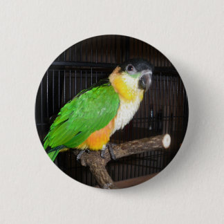 Badge Rond 5 Cm Bouton de caïque