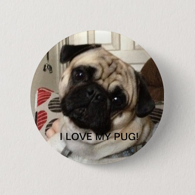 Badge Rond 5 Cm Bouton de carlin (Devant)