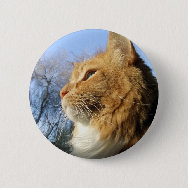 Badge Rond 5 Cm Bouton de chat de cieux bleus (Devant)
