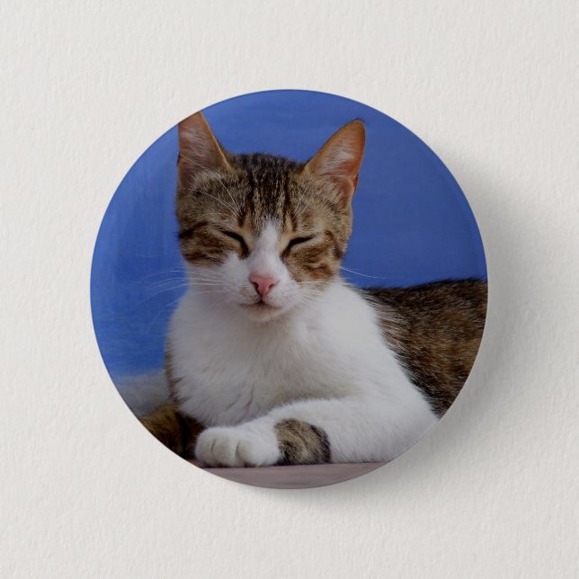 Badge Rond 5 Cm Bouton de chat grec (Devant)