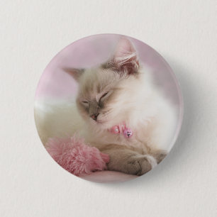 Badge Rond 5 Cm bouton de chaton de ragdoll