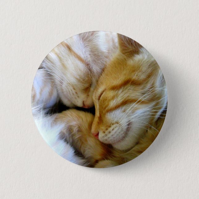 Badge Rond 5 Cm Bouton de chatons de câlin (Devant)