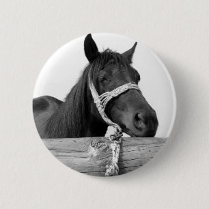 Badge Rond 5 Cm Bouton de cheval