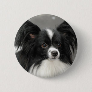 Badge Rond 5 Cm Bouton de chien de Papillon
