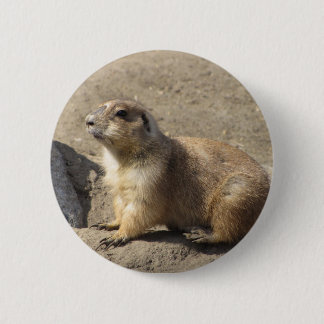 Badge Rond 5 Cm Bouton de chien de prairie