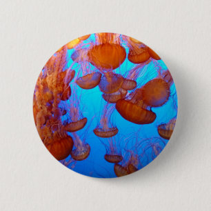 Badge Rond 5 Cm Bouton de collision de gelées