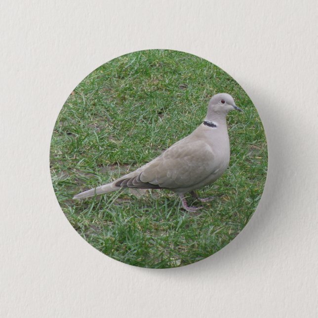 Badge Rond 5 Cm Bouton de colombe (Devant)