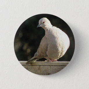 Badge Rond 5 Cm Bouton de colombe