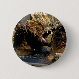 Badge Rond 5 Cm Bouton de combat d'ours