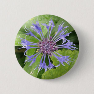 Badge Rond 5 Cm Bouton de Cornflower bleu
