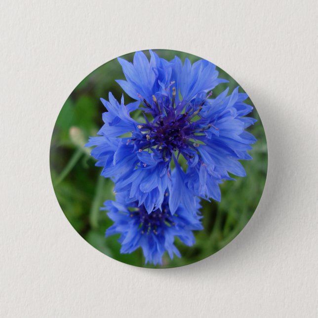 Badge Rond 5 Cm Bouton de Cornflower bleu (Devant)