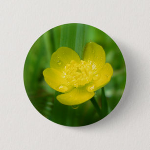 Badge Rond 5 Cm Bouton de coupe-papillon Appalachian