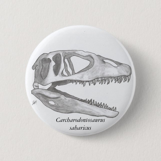 Badge Rond 5 Cm Bouton de crâne de saharicus de (Devant)