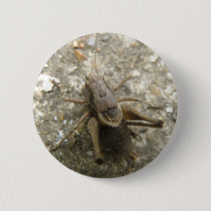 Badge Rond 5 Cm Bouton de cricket Brown