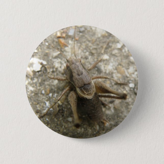Badge Rond 5 Cm Bouton de cricket Brown (Devant)