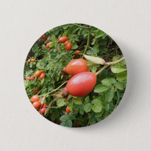 Badge Rond 5 Cm Bouton de Cynorhodon Rouge Juteux