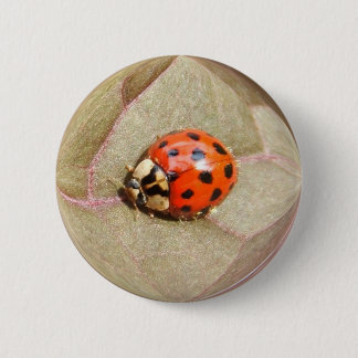 Badge Rond 5 Cm Bouton de ~ de la coccinelle 226