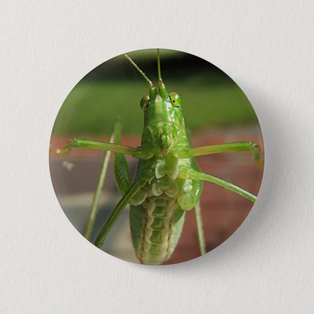 Badge Rond 5 Cm Bouton de ~ de sauterelle (Devant)
