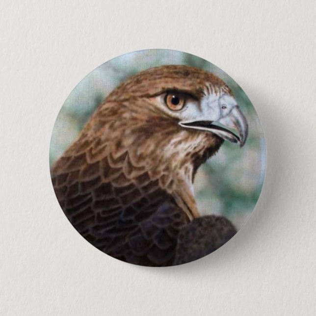 Badge Rond 5 Cm bouton de faucon de Rouge-queue (Devant)