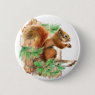 Badge Rond 5 Cm Bouton de faune d'écureuil