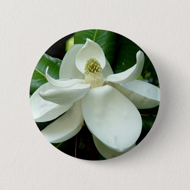 Badge Rond 5 Cm Bouton de fleur de magnolia (Devant)