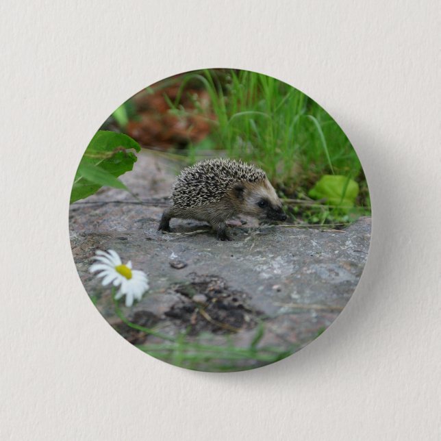 Badge Rond 5 Cm Bouton de hérisson - personnalisable (Devant)