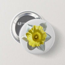 Bouton de jonquille blanche