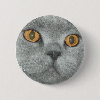 Badge Rond 5 Cm Bouton de Kitty observé par orange mignonne