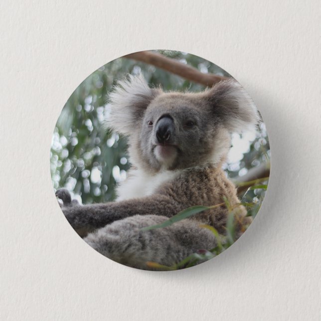 Badge Rond 5 Cm Bouton de koala (Devant)