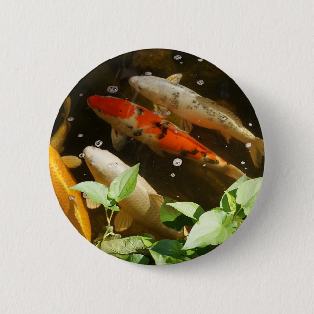 Badge Rond 5 Cm Bouton de Koi (Devant)