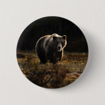 Bouton de l'ours
