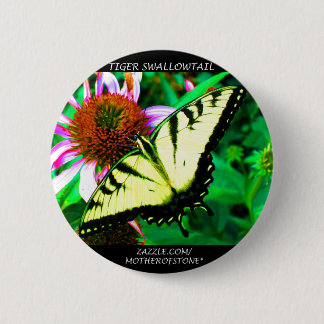 Badge Rond 5 Cm Bouton de machaon de tigre (blanc transparent)