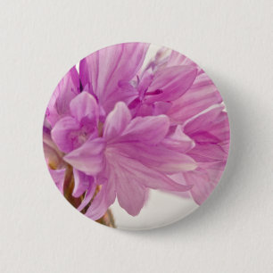 Badge Rond 5 Cm Bouton de mise à jour