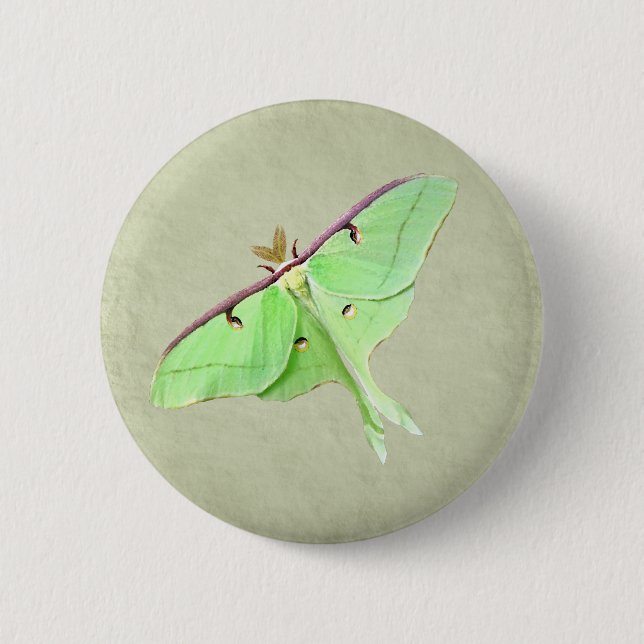 Badge Rond 5 Cm Bouton de mite de Luna (Devant)