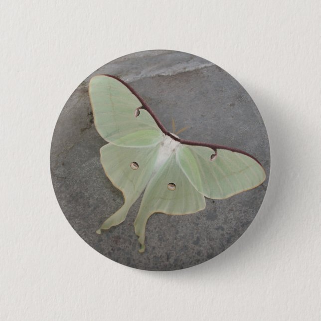 Badge Rond 5 Cm Bouton de mite de Luna (Devant)
