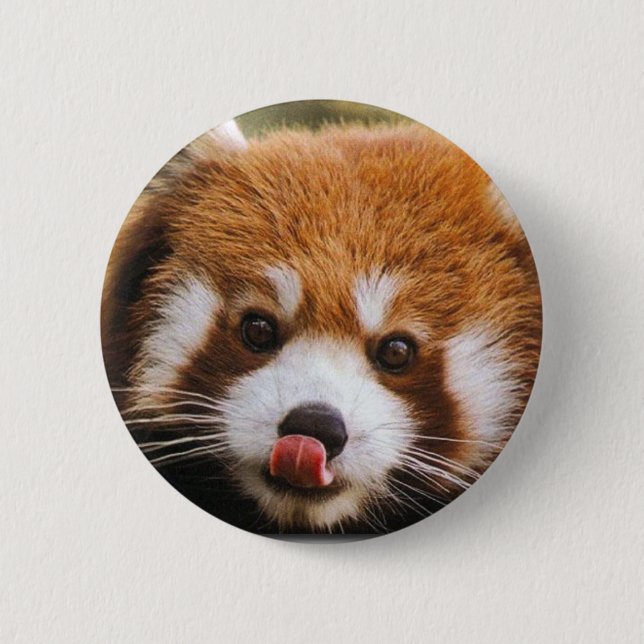 Badge Rond 5 Cm Bouton de panda rouge (Devant)
