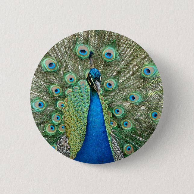Badge Rond 5 Cm Bouton de paon (Devant)