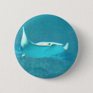Badge Rond 5 Cm Bouton de pastenague