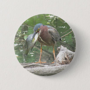 Badge Rond 5 Cm Bouton de pêche de Green Heron