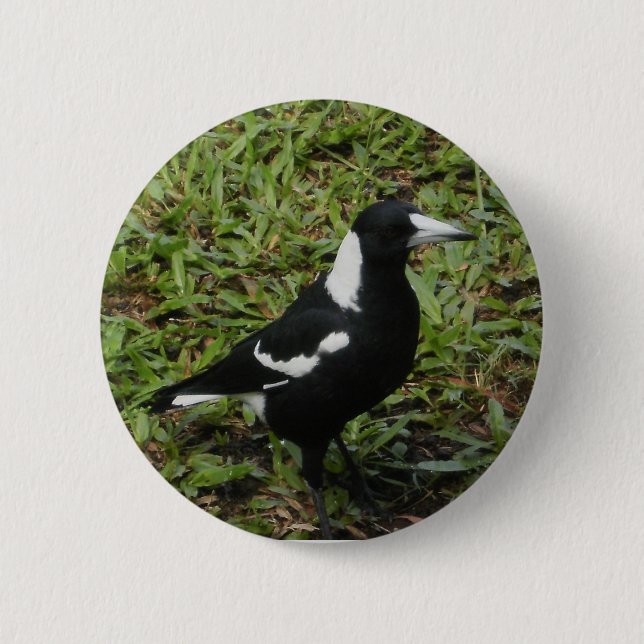 Badge Rond 5 Cm Bouton de pie australienne (Devant)