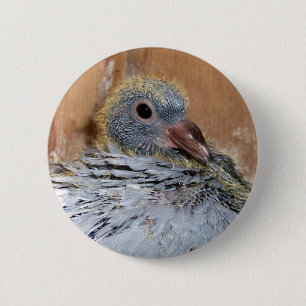 Badge Rond 5 Cm Bouton de pigeon voyageur de bébé