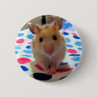 Badge Rond 5 Cm Bouton de Pinback de hamster