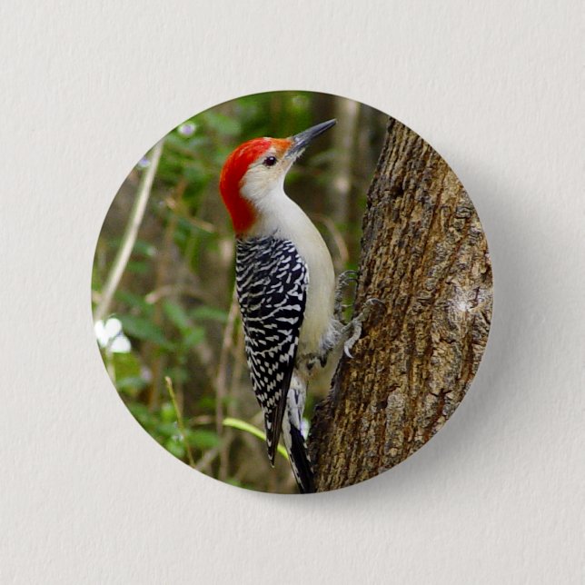 Badge Rond 5 Cm Bouton de pivert gonflé par rouge (Devant)