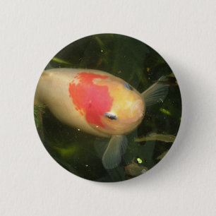 Badge Rond 5 Cm Bouton de poisson rouge