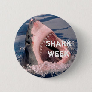 Badge Rond 5 Cm Bouton de semaine de requin