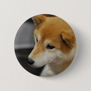 Badge Rond 5 Cm Bouton de Shiba Inu