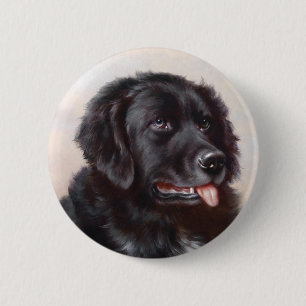 Badge Rond 5 Cm Bouton de Terre-Neuve